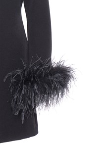 P.A.R.O.S.H. Feathers embellished dress