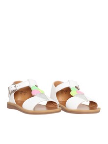 POM D'API Q1DLJC040303