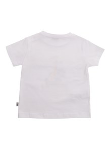 IL GUFO P24TS446MF001010