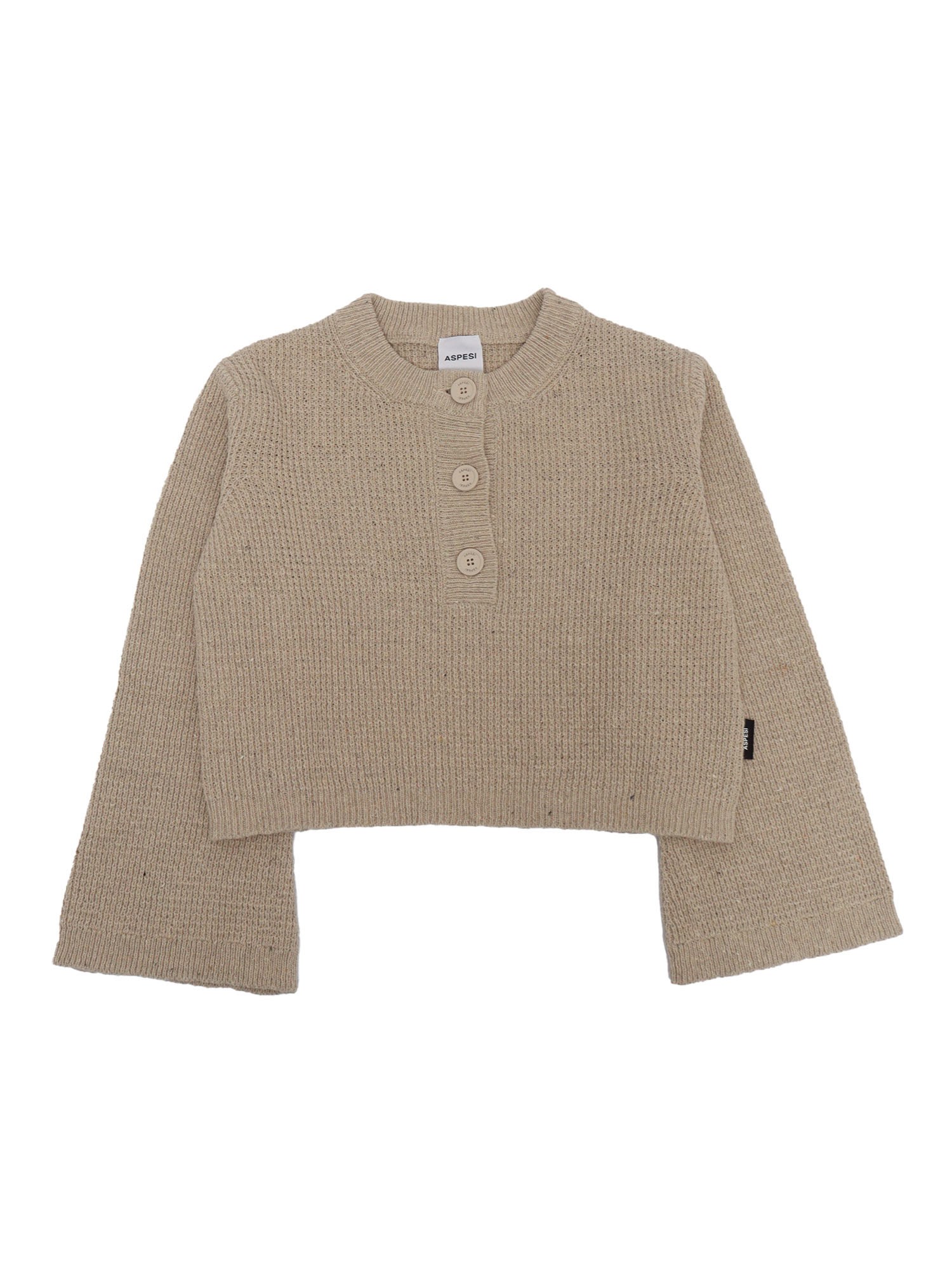 Aspesi Sweater In Brown
