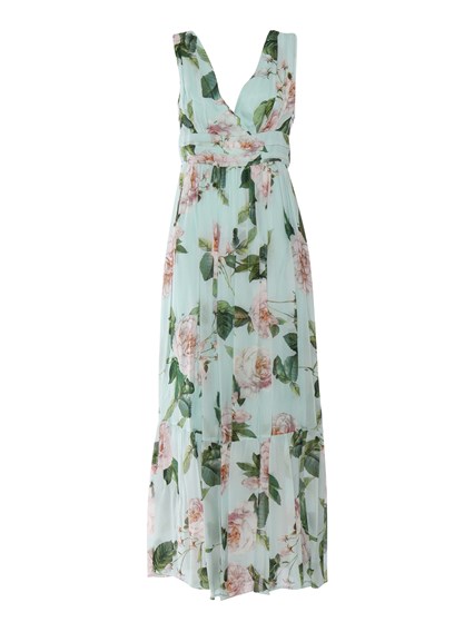 Clips ROSES PRINTED DRESS