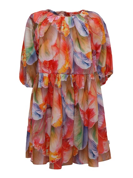 MOLO Ciera Dress LS
