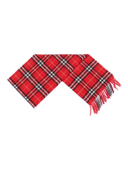 Burberry CHW SCARVES