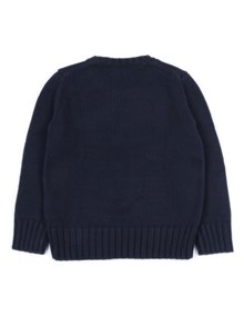 POLO RALPH LAUREN FLAG CN SWTR-TOPS-SWEATER