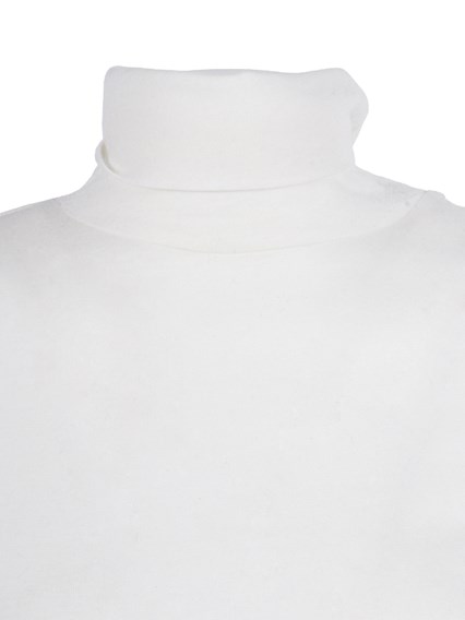 Filatures Du Lion Col roul  manches longues