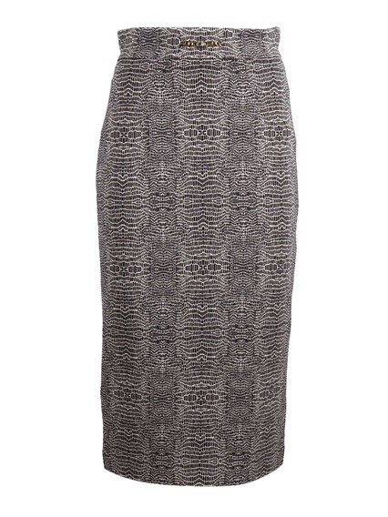 ELISABETTA FRANCHI GONNA