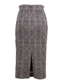 ELISABETTA FRANCHI GONNA