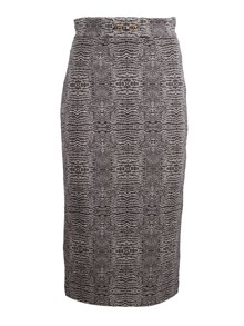 ELISABETTA FRANCHI GONNA