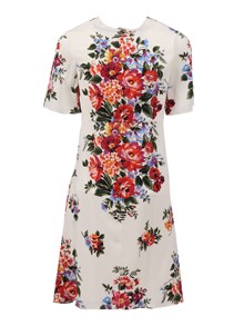 Dolce & Gabbana Junior Short Sleeves Dress