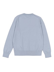 POLO RALPH LAUREN LS CN-TOPS-SWEATER