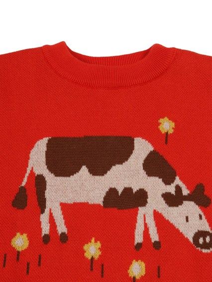 Bobo Choses Farm Adventure jumper
