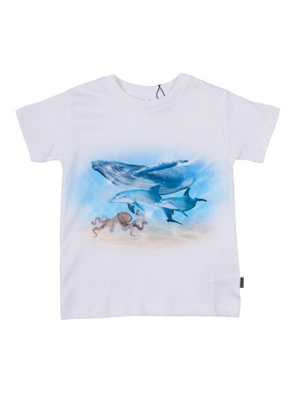 MOLO Raul T-shirts Short sleeves