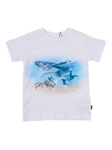 MOLO Raul T-shirts Short sleeves