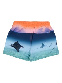 MOLO Niko Boardies