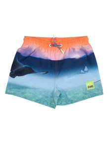 MOLO Niko Boardies