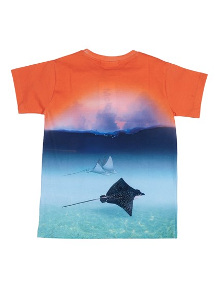 MOLO Raul T-shirts Short sleeves