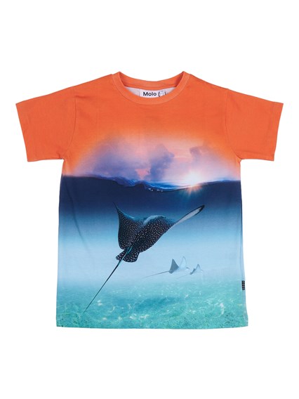 MOLO Raul T-shirts Short sleeves