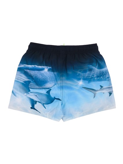 MOLO Niko Boardies