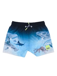 MOLO Niko Boardies