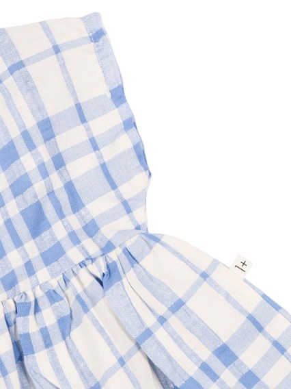 One More In The Family dress