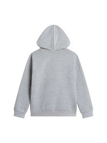 THE NORTH FACE KIDS TEEN EVOLUTION SIMPLE DOME PULLOVER HOOD TNF Pale Grey Heather