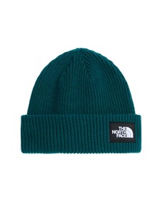 THE NORTH FACE SALTY LINED BEANIE Pacific Teal