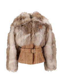 ELISABETTA FRANCHI Jacket