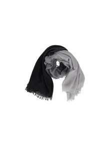 FALIERO SARTI Cristiana�Sfume 155X160 scarf